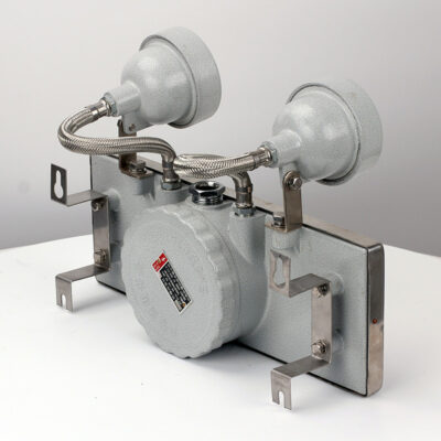 Stainless Steel Explosion-Proof Emergency Light BCJ51 detail
