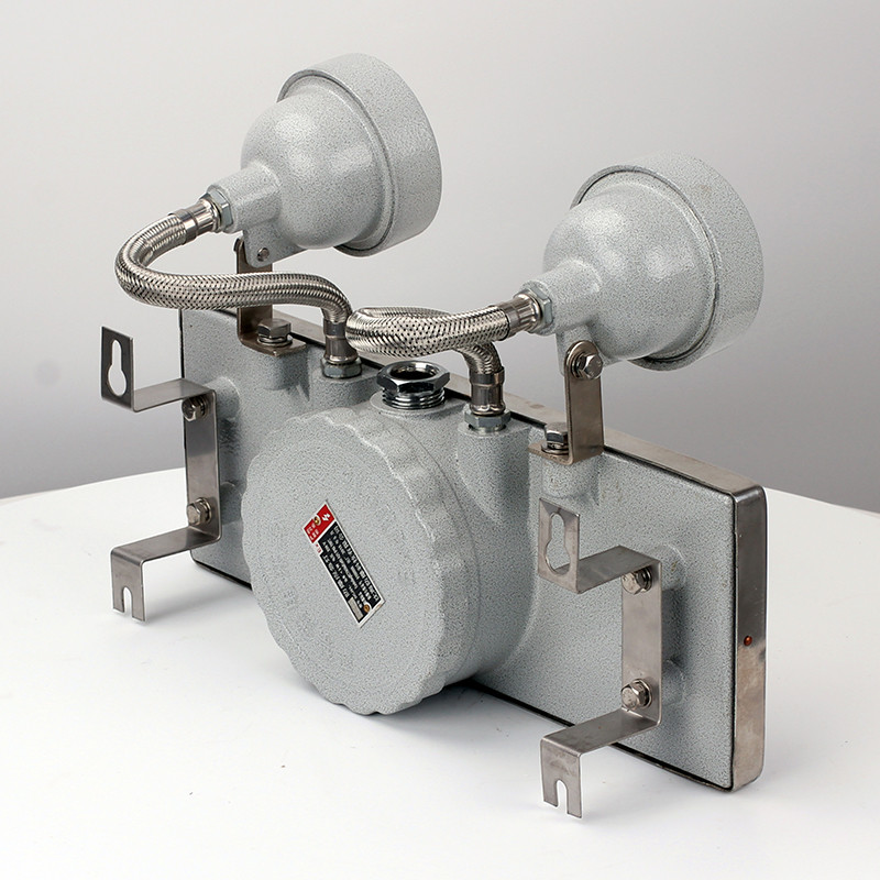 Stainless Steel Explosion-Proof Emergency Light BCJ51 detail